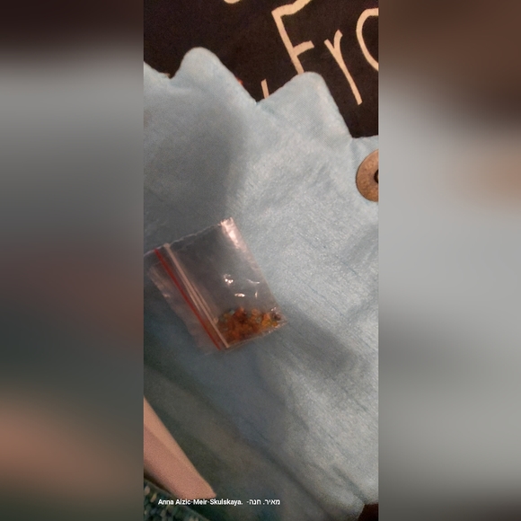 🌻NWT Mary Frances Beads Sunflower Power Crossbody Clutch. Collectib… - Picture 13 of 15